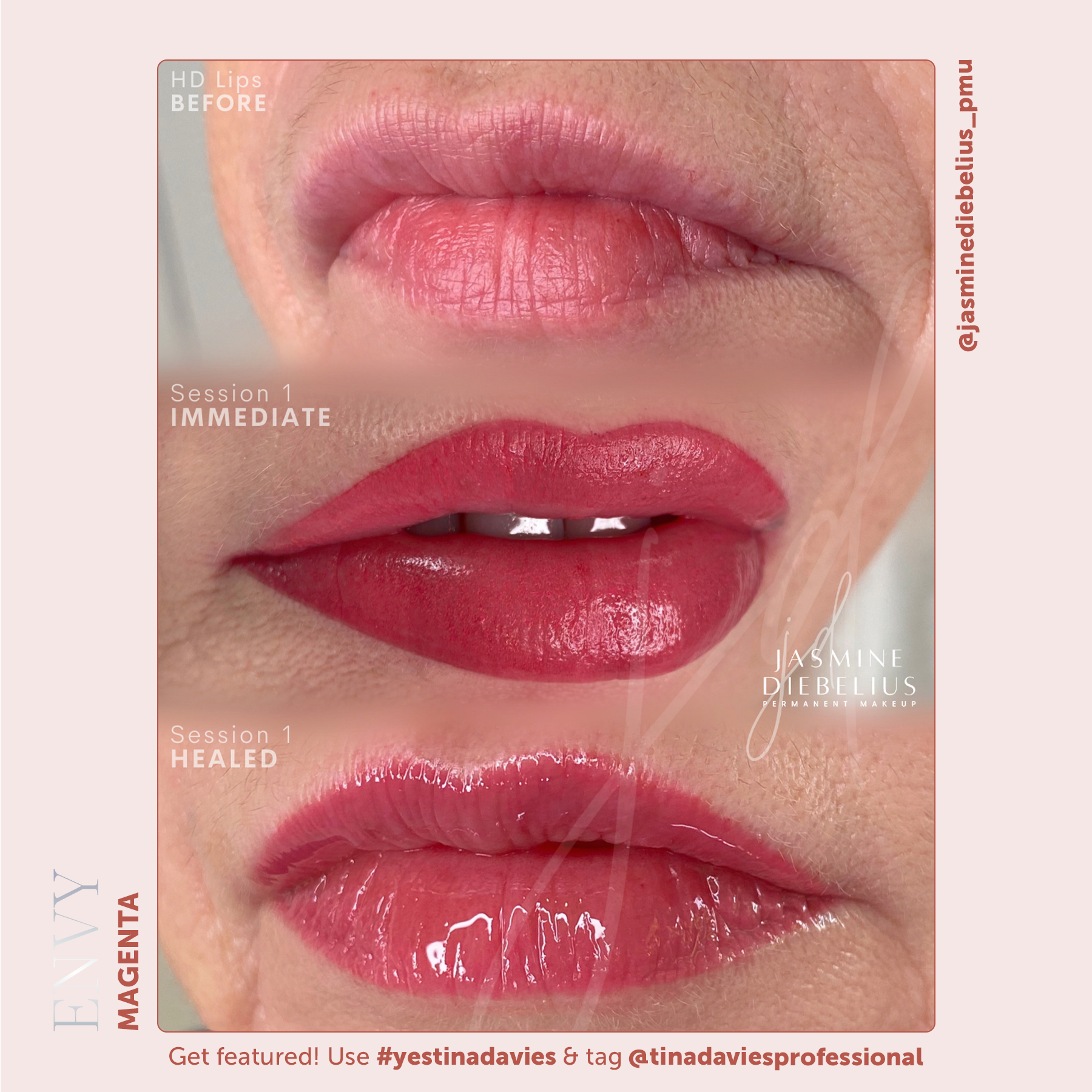 Envy Lip Pigment Collection