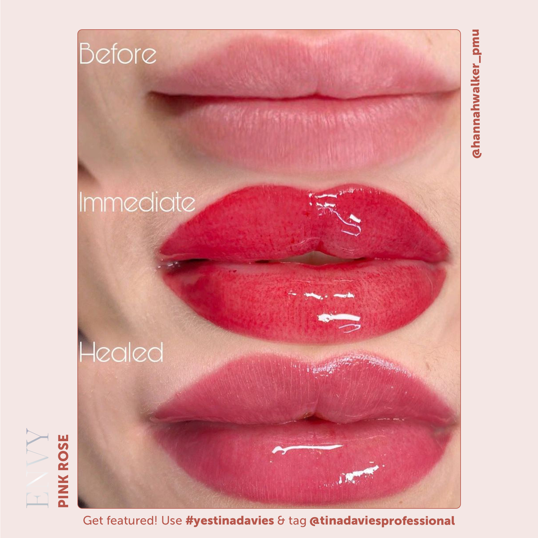 Envy Lip Pigment Collection