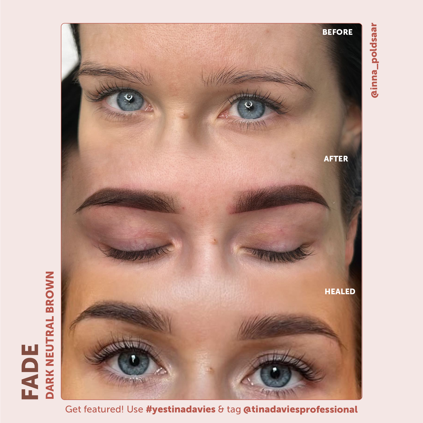 FADE Eyebrow Pigment Collection
