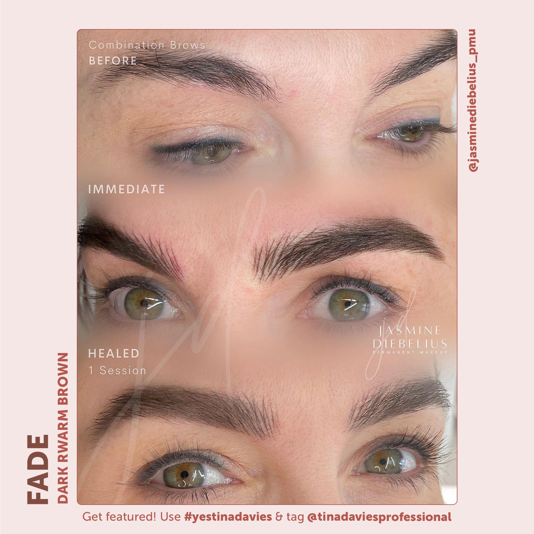 FADE Eyebrow Pigment Collection