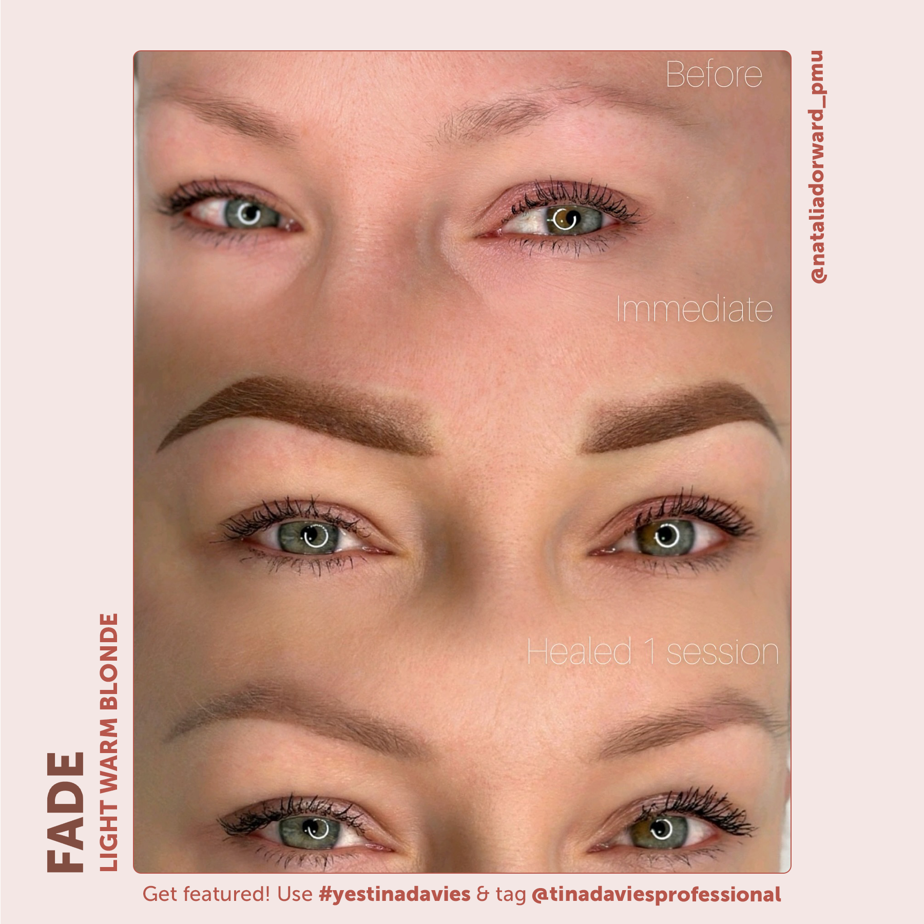 FADE Eyebrow Pigment Collection