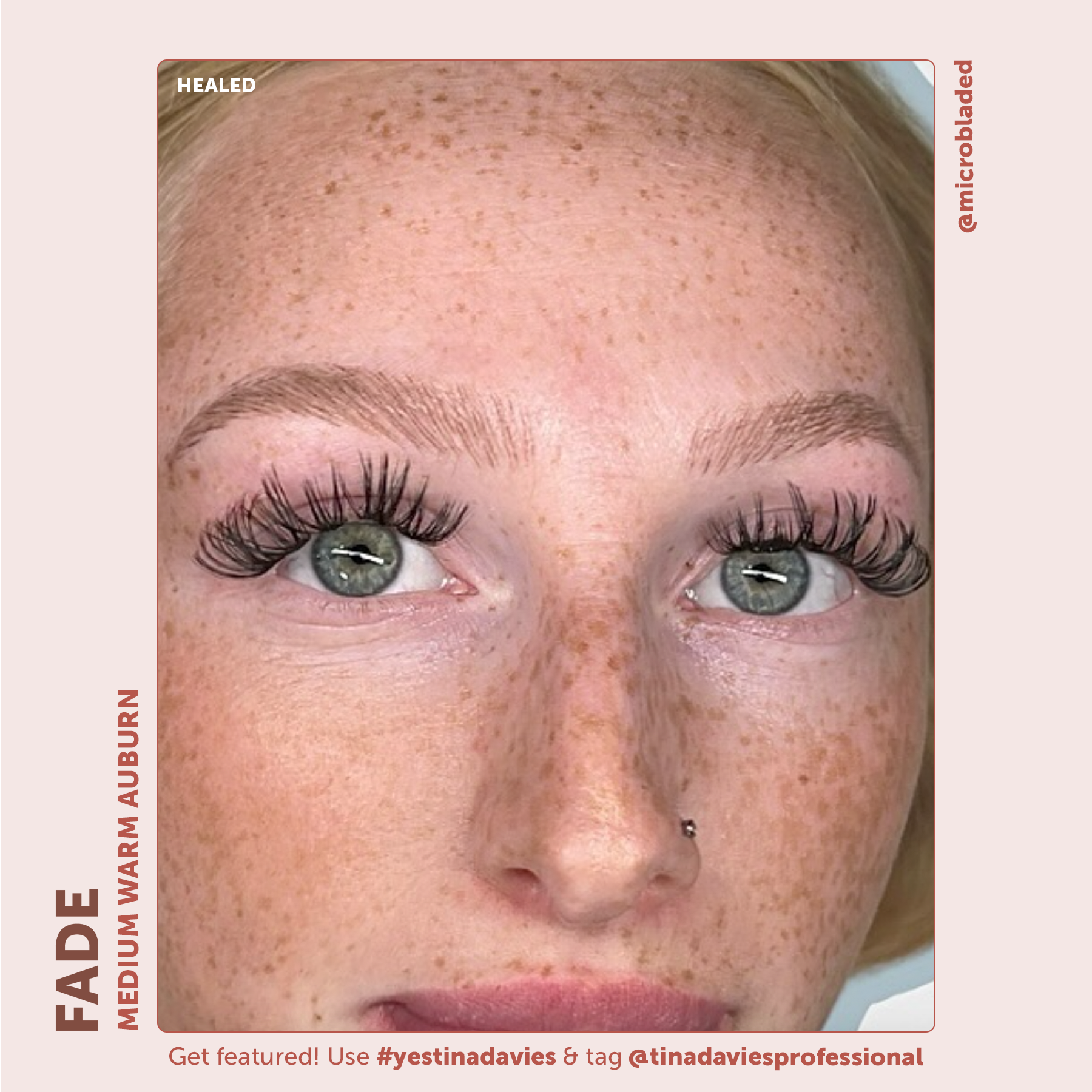 FADE Eyebrow Pigment Collection