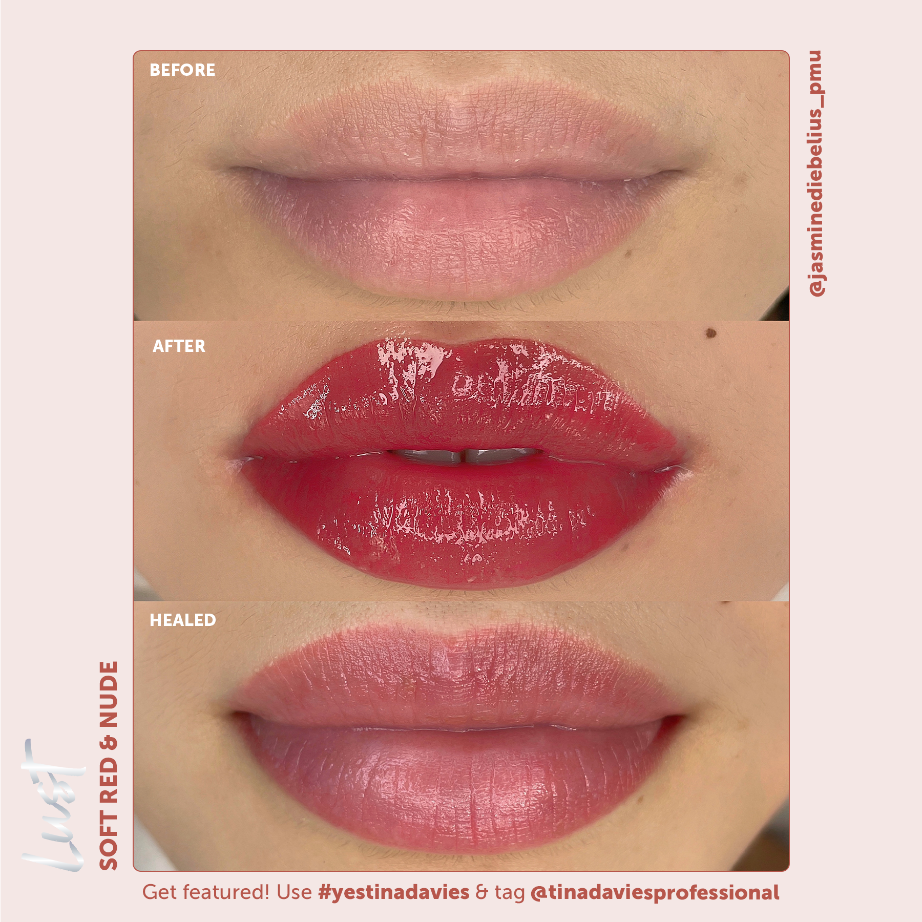 Lust Lip Pigment Collection