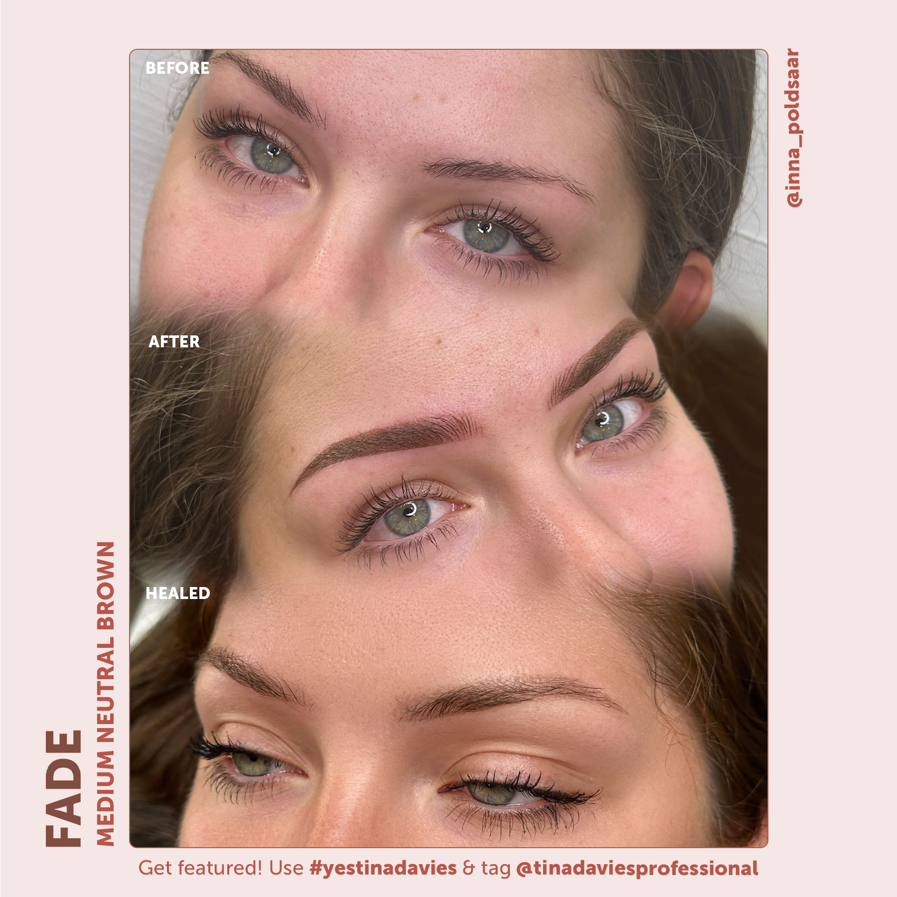 FADE Eyebrow Pigments