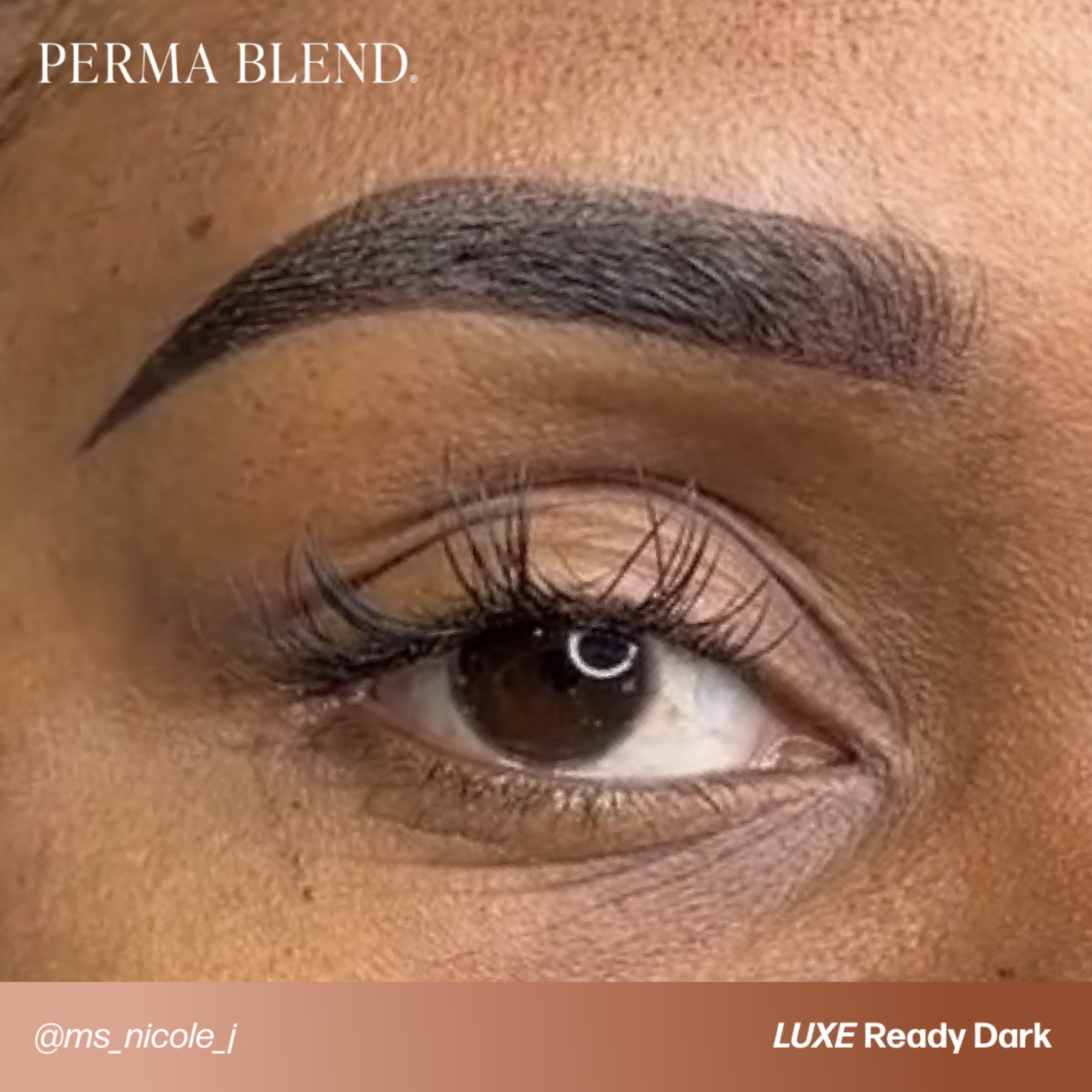 Perma Blend Luxe Ready-Set-Go Pre-Modified Brow Pigments