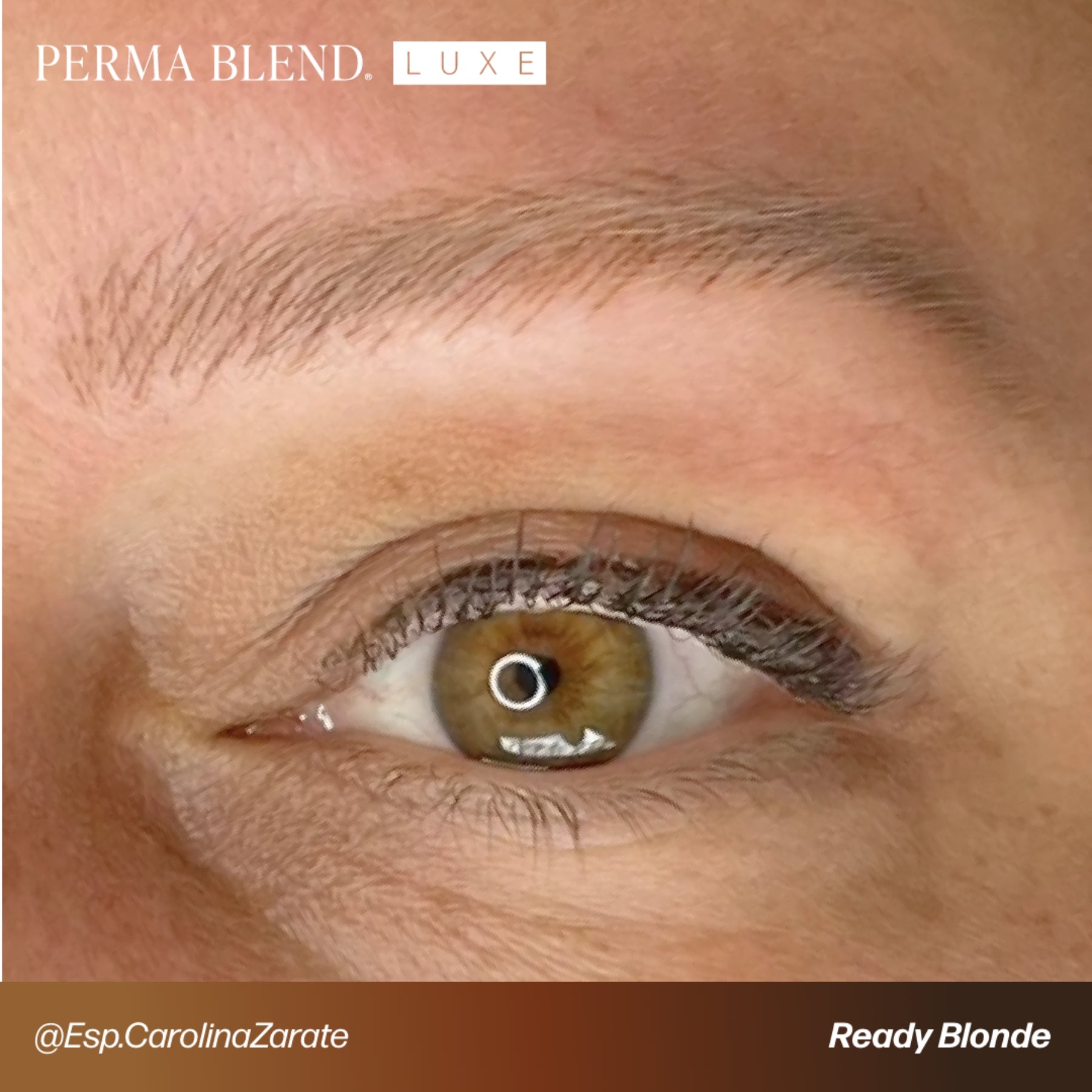 Perma Blend Luxe Ready-Set-Go Pre-Modified Brow Pigment Set