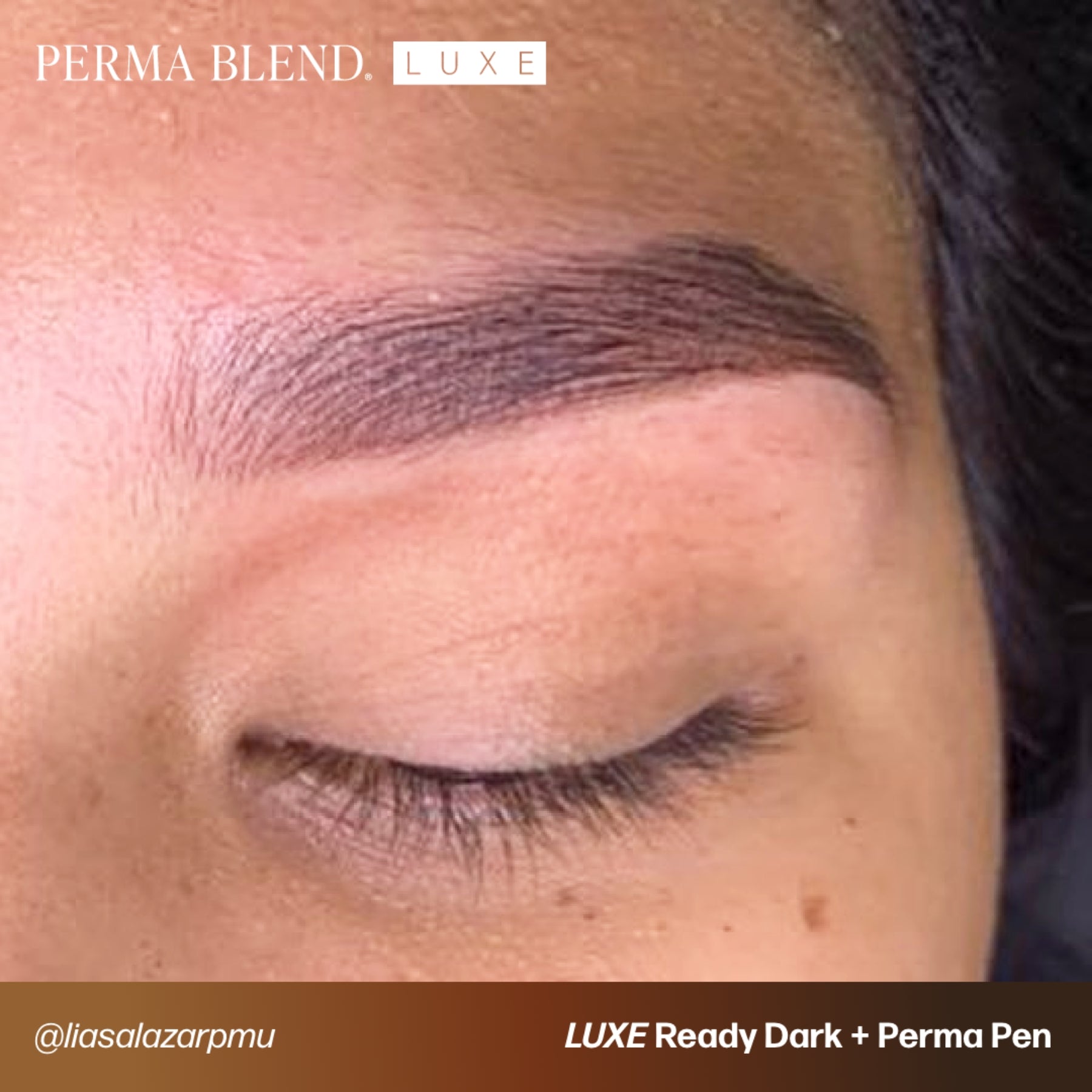 Perma Blend Luxe Ready-Set-Go Pre-Modified Brow Pigments