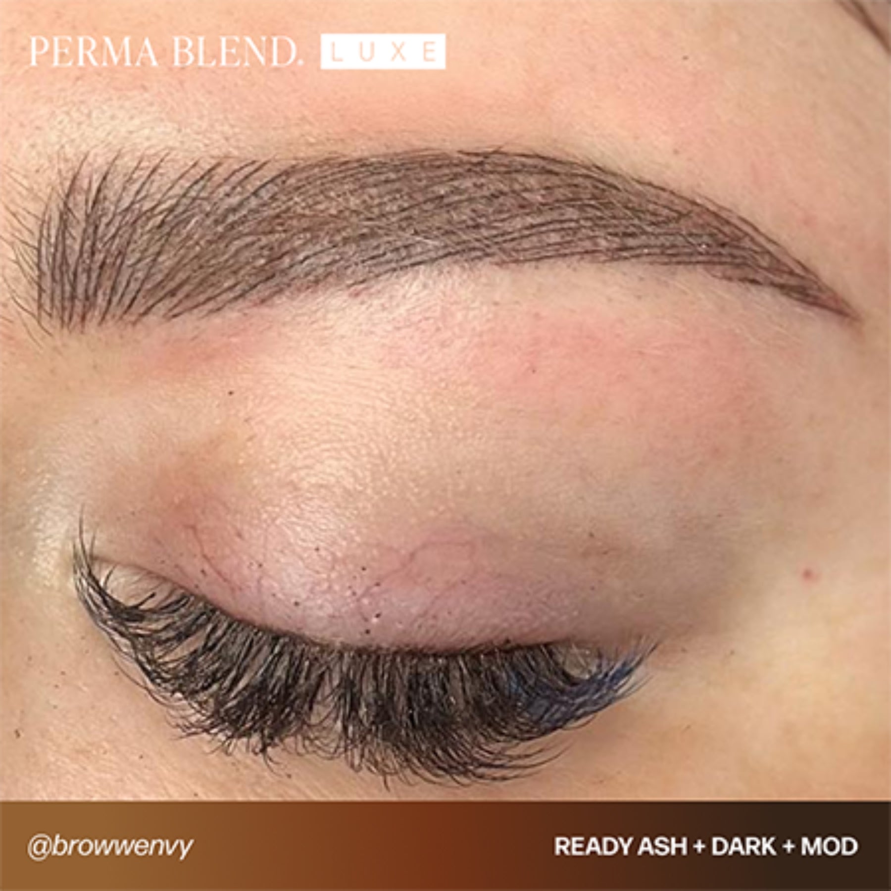 Perma Blend Luxe Ready-Set-Go Pre-Modified Brow Pigment Set