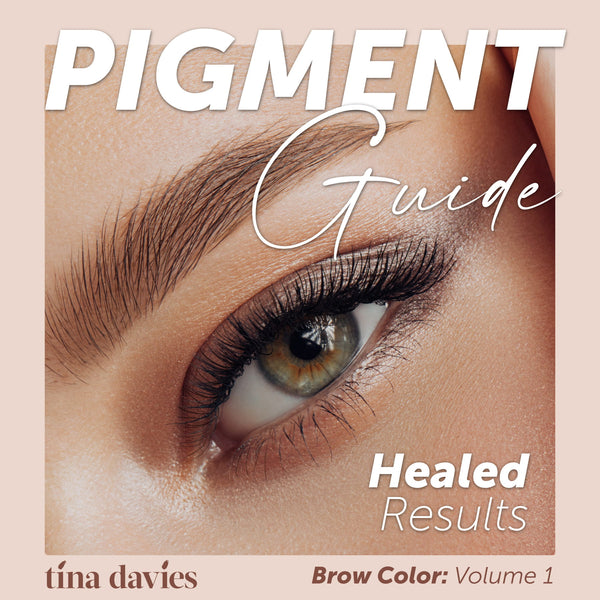 Tina Davies Pigment Guide: Healed Results Brow Color: Volume 1