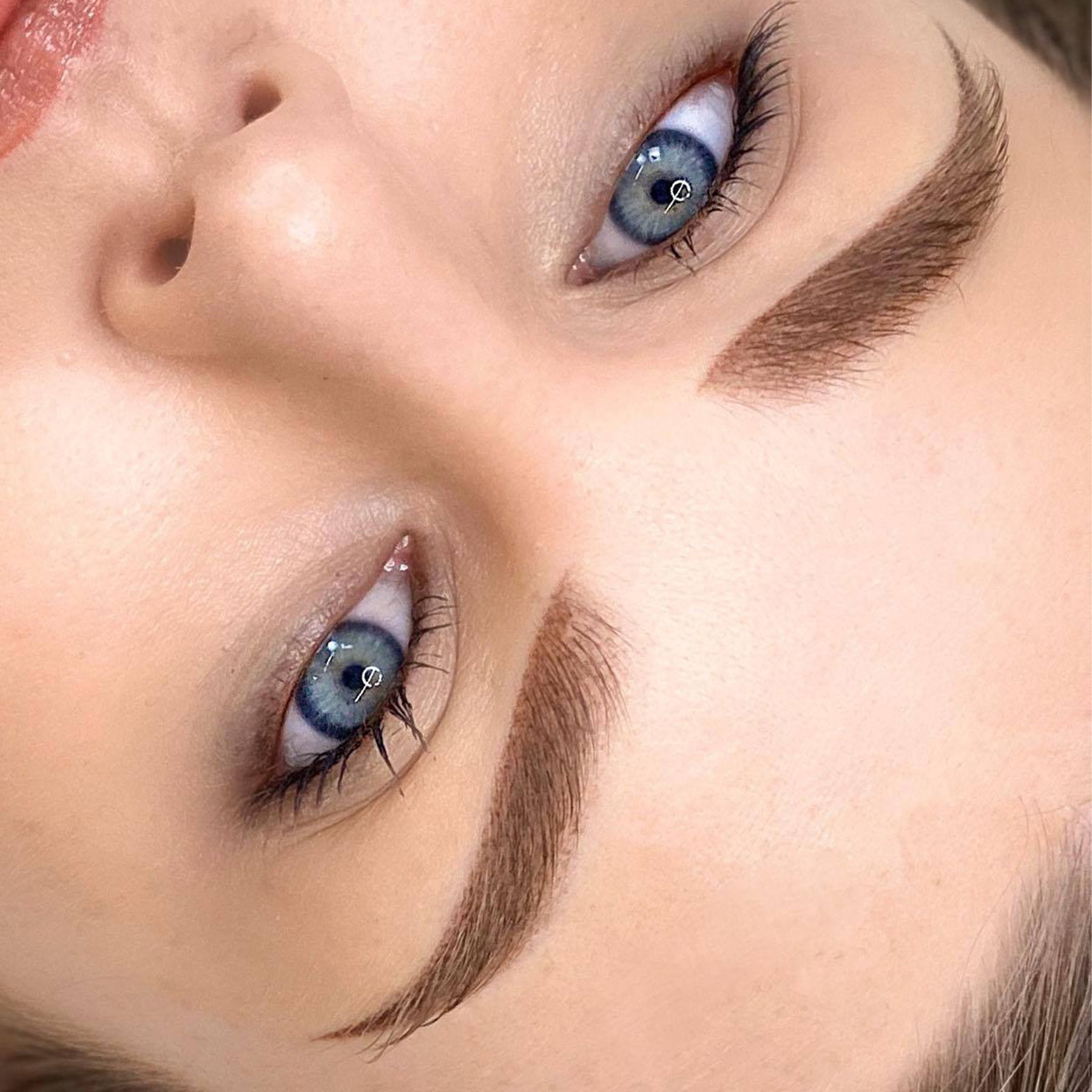 The Perfect Brow by Elaine Campin