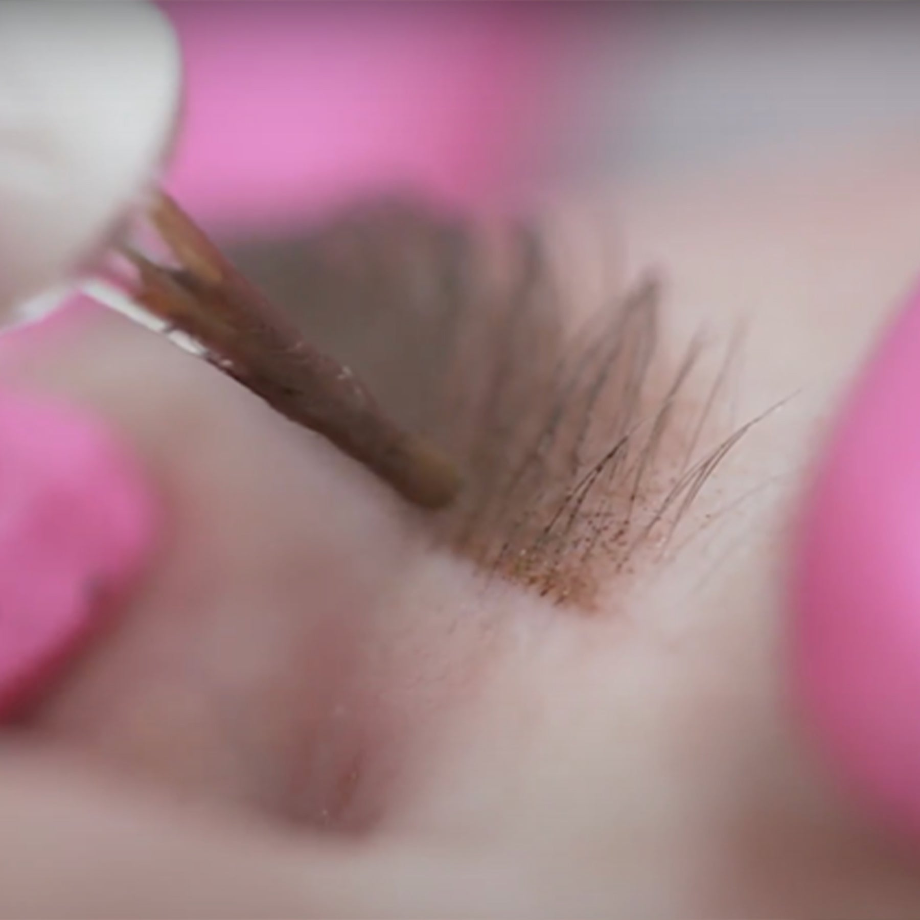 The Perfect Brow by Elaine Campin