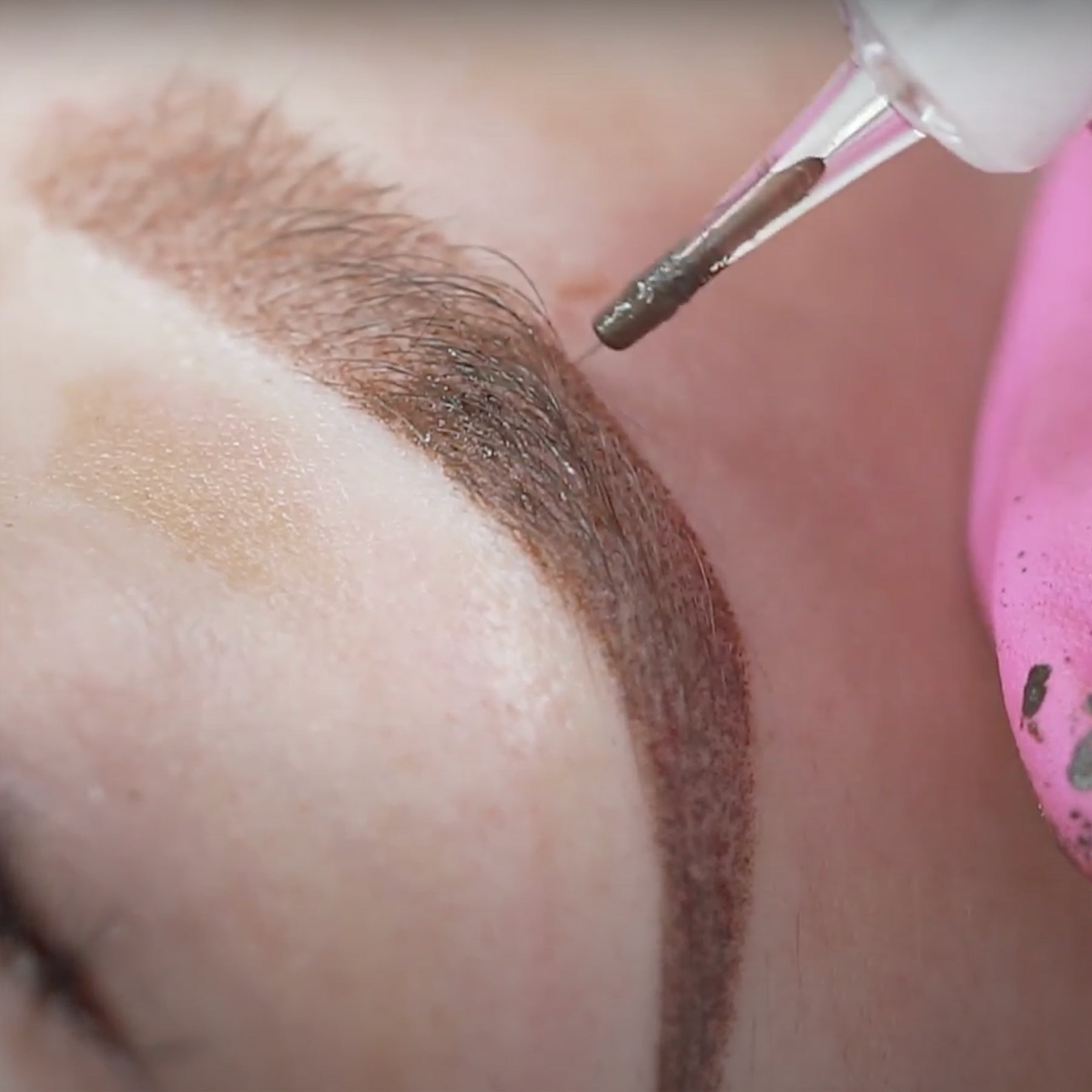 The Perfect Brow by Elaine Campin